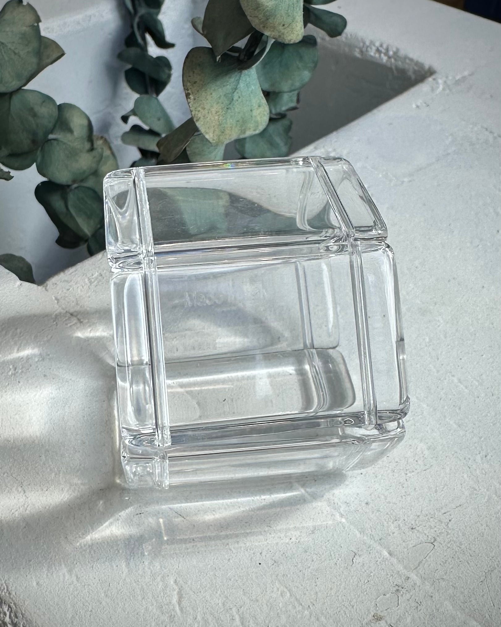 Élément de bracelet Belta Classic Transparent