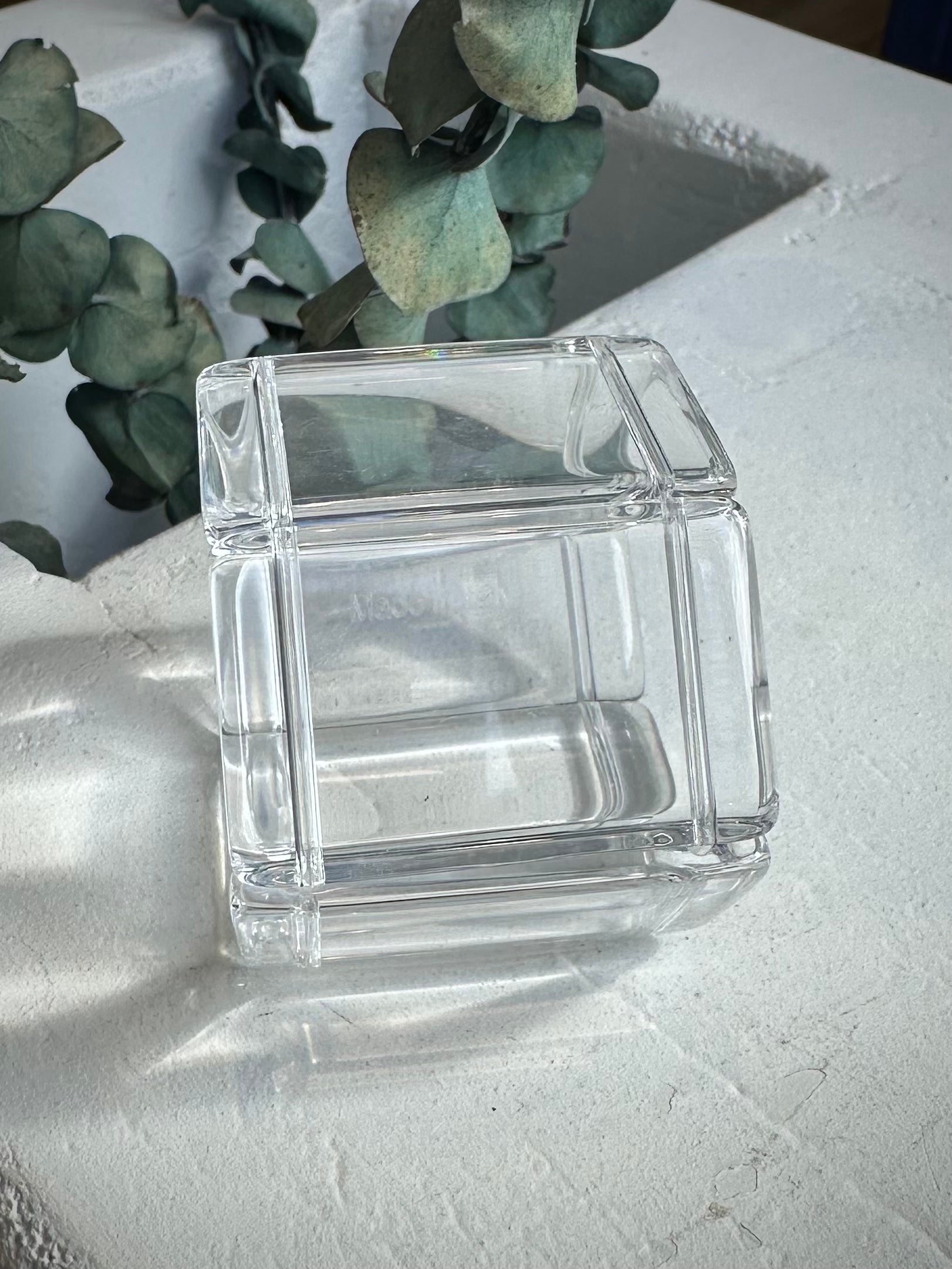 Élément de bracelet Belta Classic Transparent