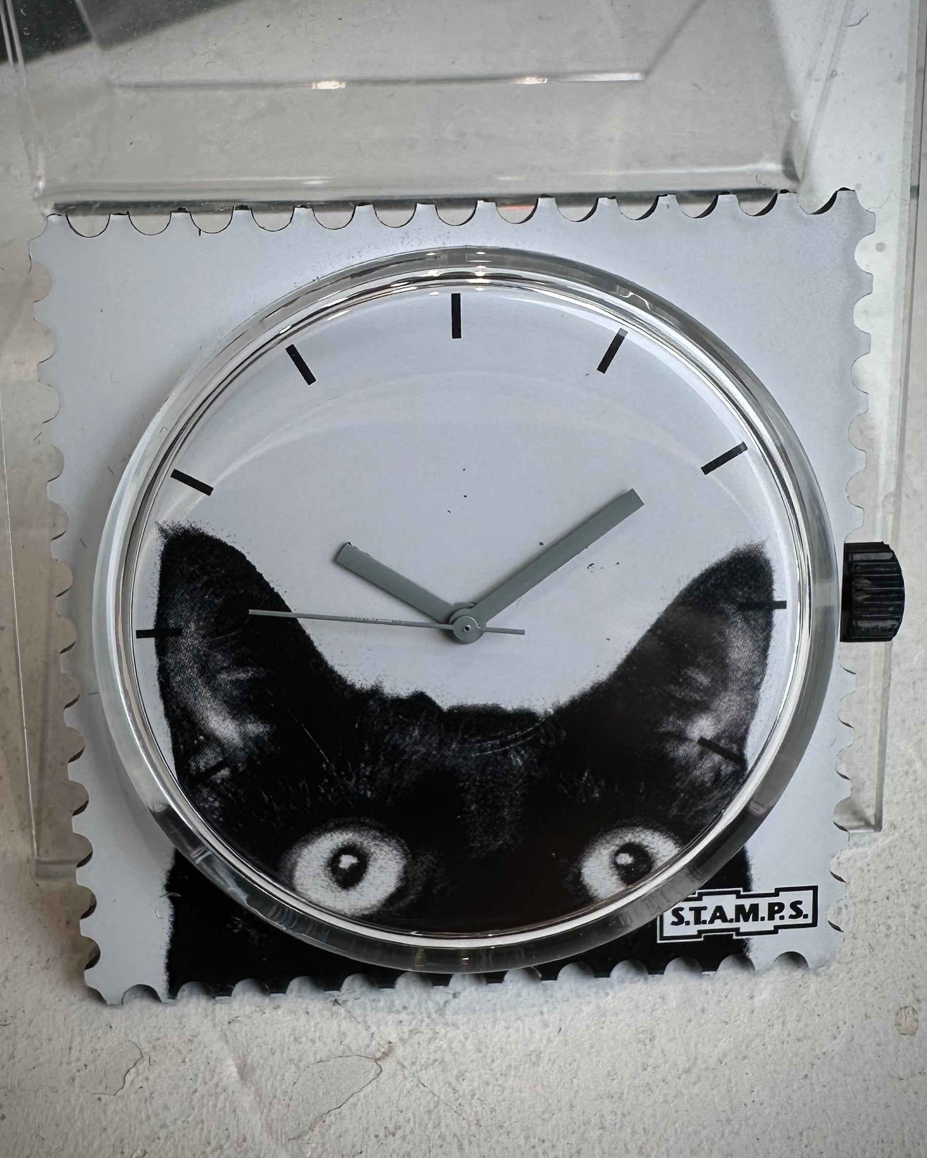 Gros plan cadran STAMPS chat yeux expressifs 