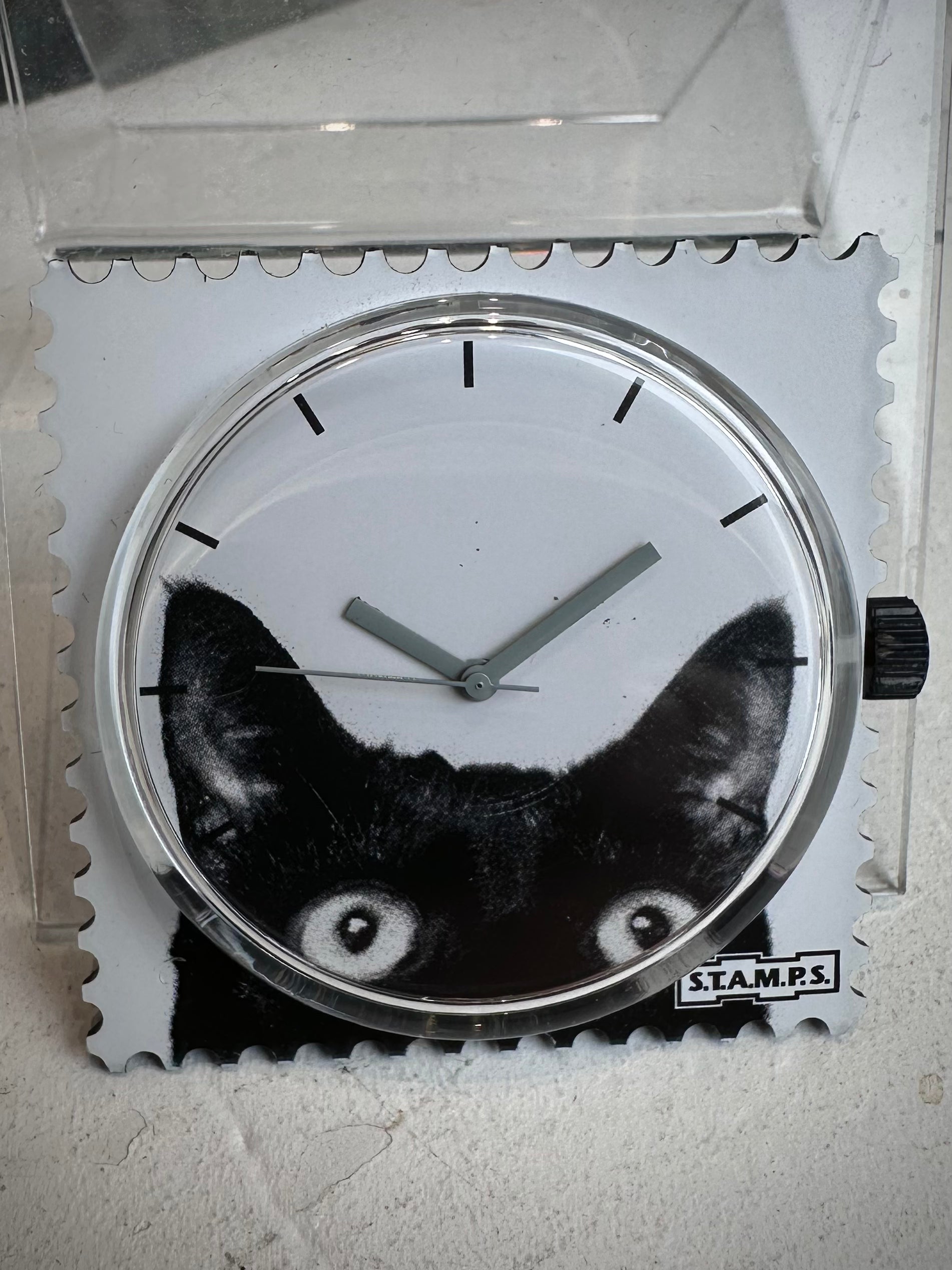 Gros plan cadran STAMPS chat yeux expressifs 