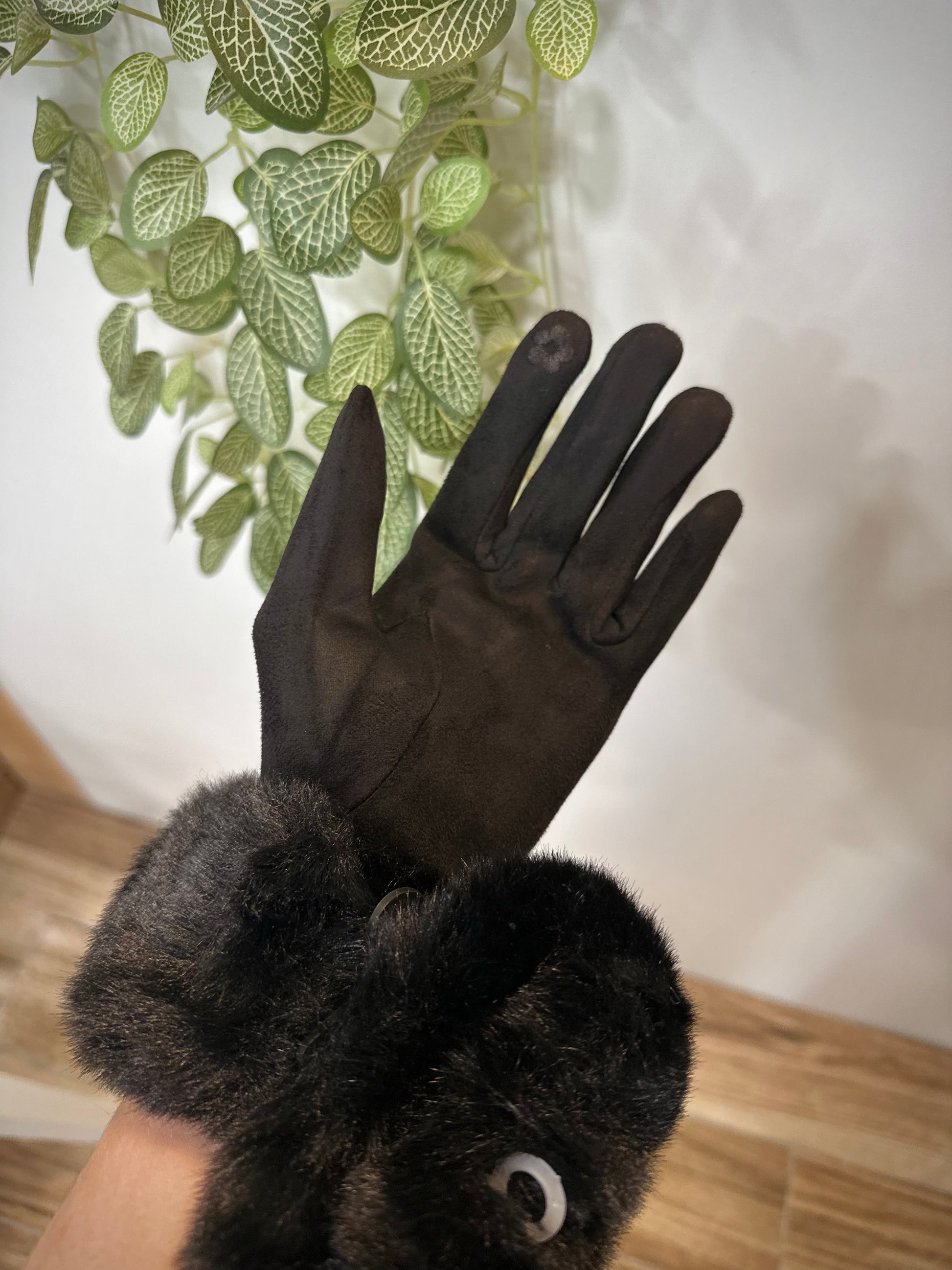 Gants noirs près d’une plante décorative