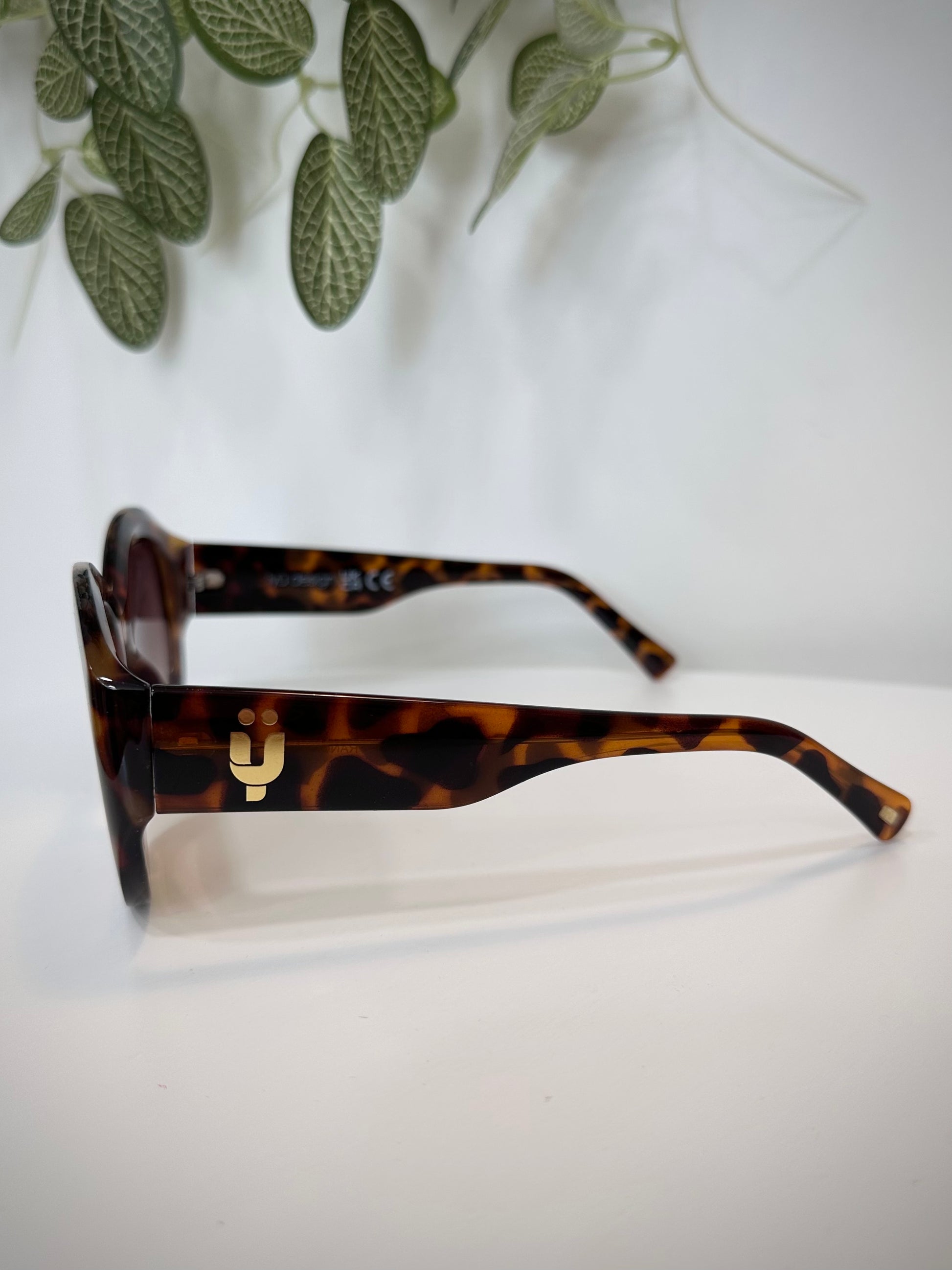 Détail branches larges écaille lunettes femme 